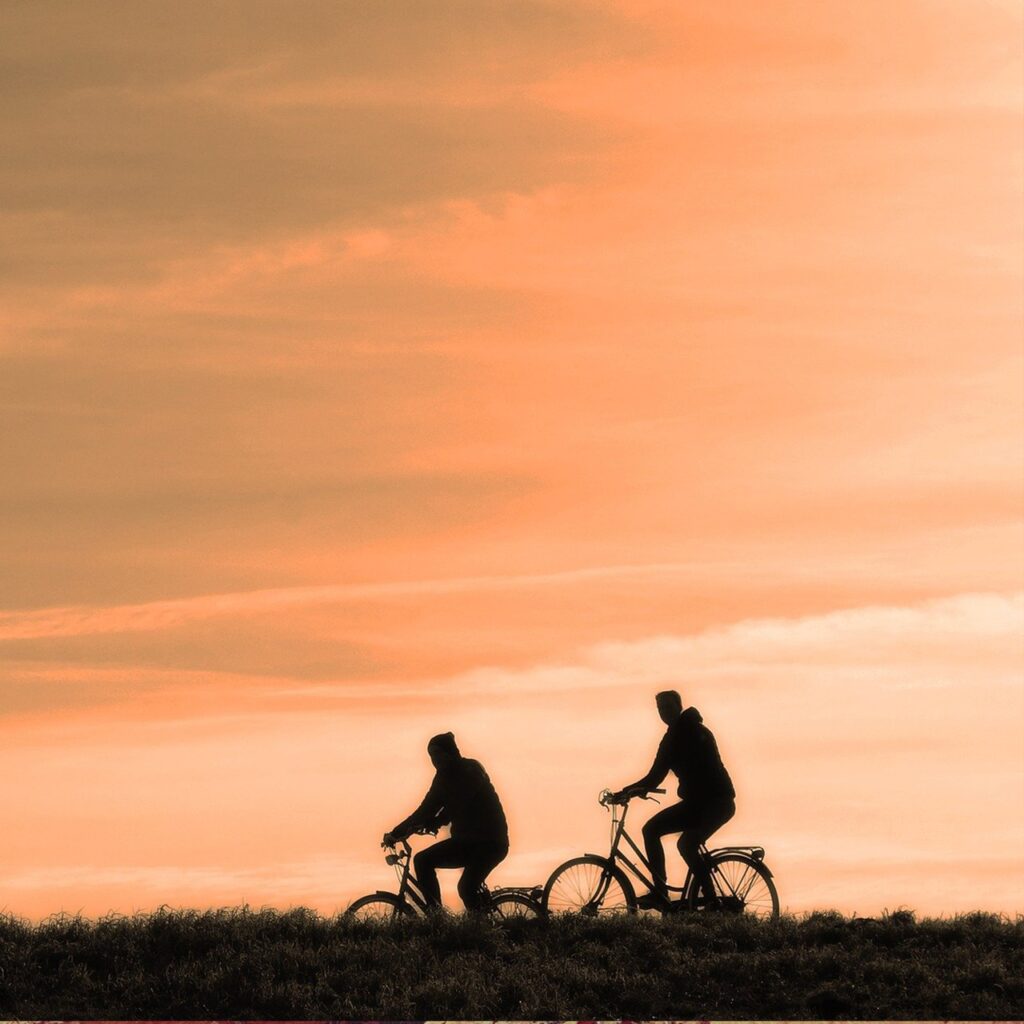 Zorganizowane objazdy rowerowe danych miejscowości, na których poznamy historię regionu, połączone z piknikami integracyjnymi.